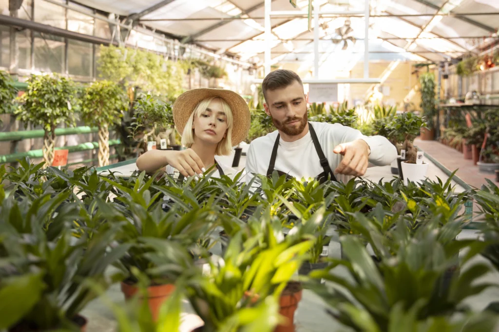 GMP Certified Ayurvedic Contract Manufacturing Laboratory in India